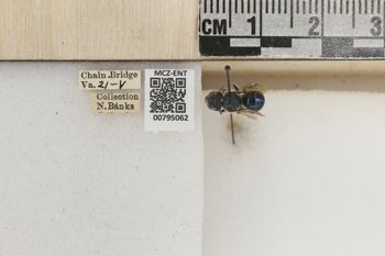 Media type: image;   Entomology 795062 Aspect: Labels